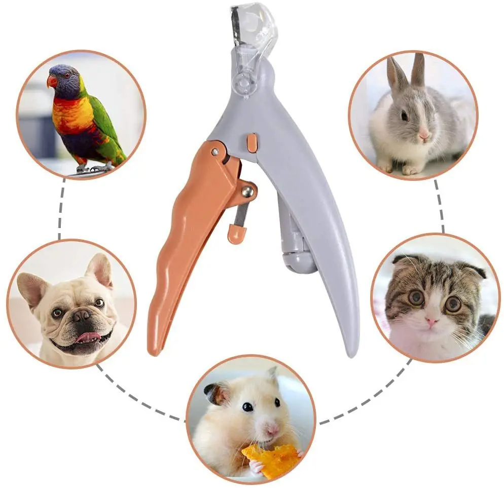 Gunting Pemotong Kuku Hewan Pe - Grooming Scissors ulasan dan harga